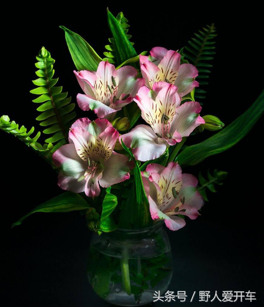 网友问有谁和他一样开房车去海南过年？看春节滞留在那的人就懂了