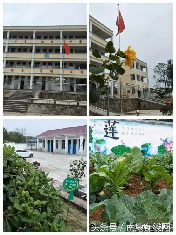 南康最美乡村小路,南康最美乡村航拍