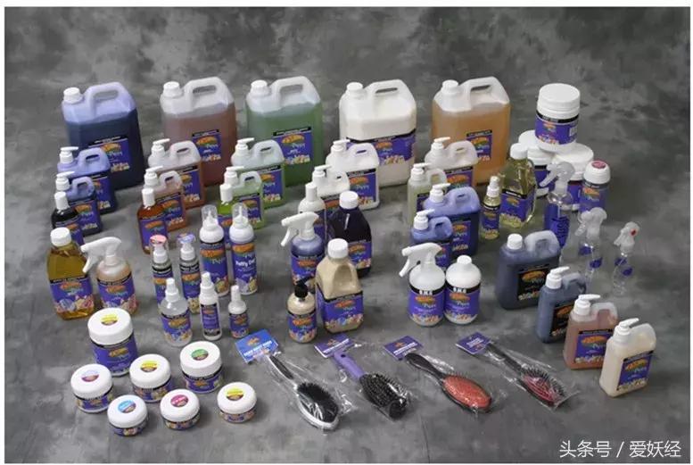 宠物洗护合集,宠物洗护攻略