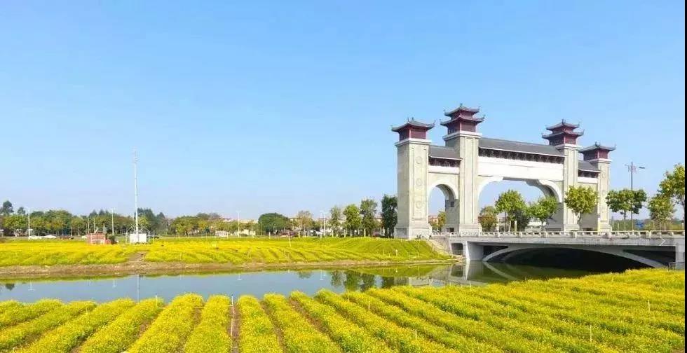 滚蛋吧,春困君!广东这些花花世界让你秒变龙马精神!