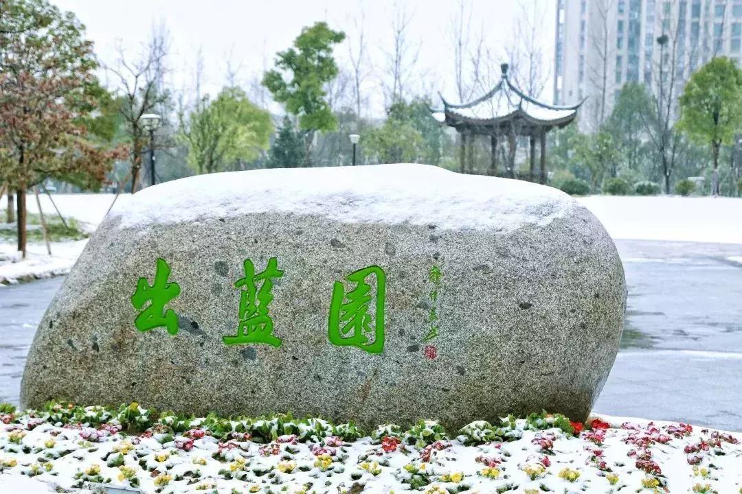 浙江工商大学毕业生就业质量远胜大部分211，可与苏大、东华比肩