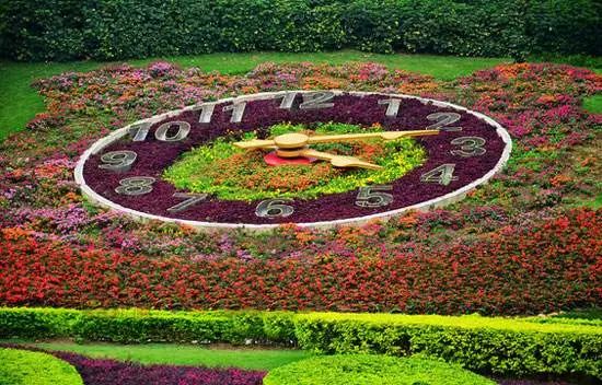 上海新年一定要去的地方,过年上海去哪玩好又便宜又好玩