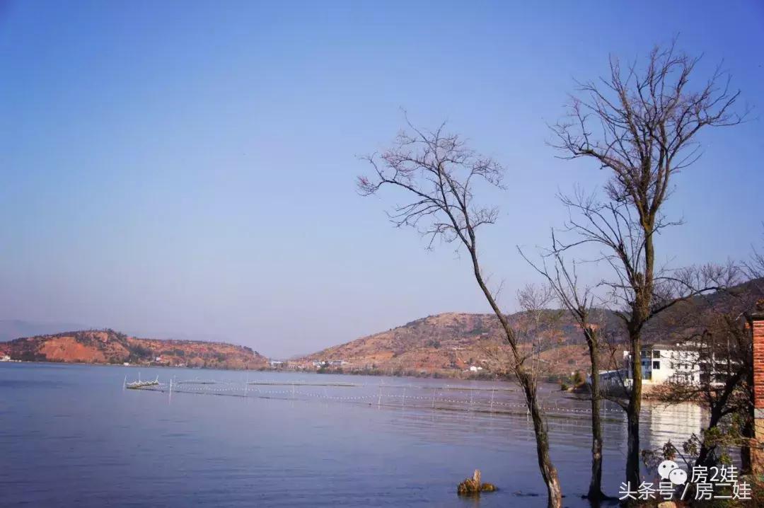 去了趟大理双廊亲自见识了杨丽萍的最美“豪宅”