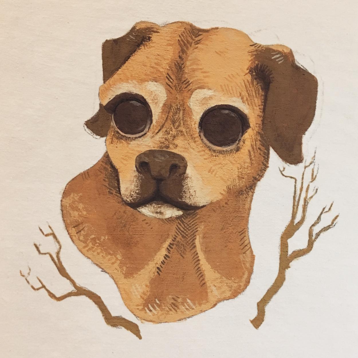 插画师hana美食插画,hannahjesus手绘插画