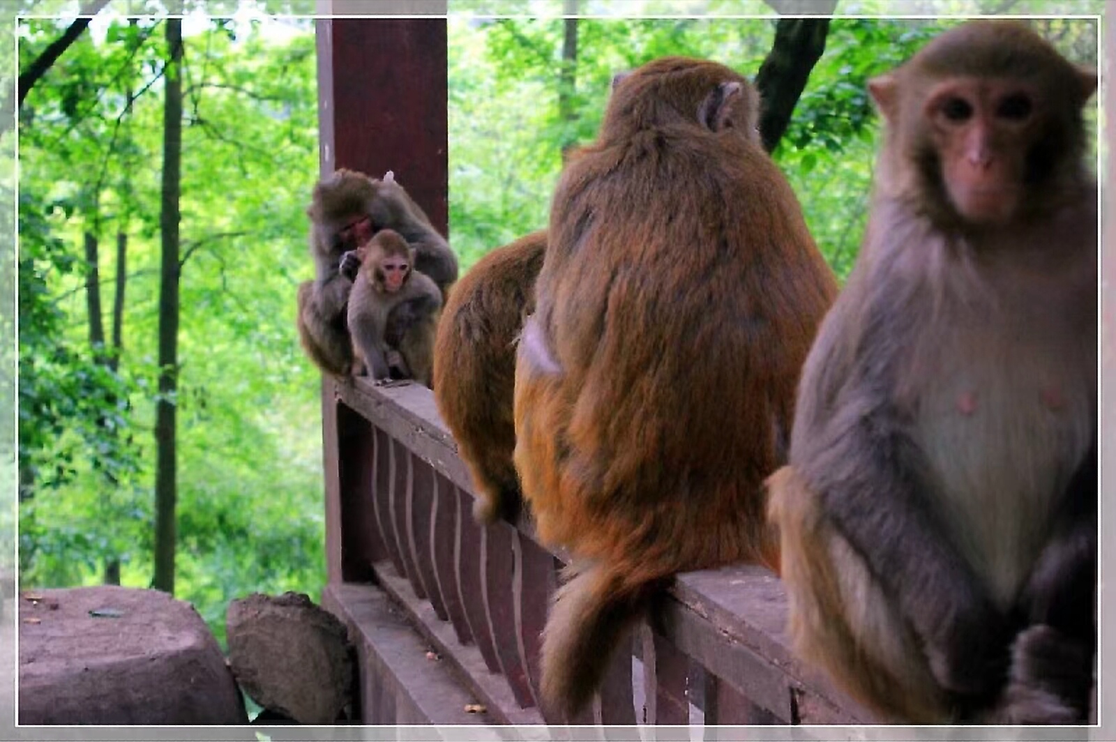 黔灵山地形图,黔灵山脉图片