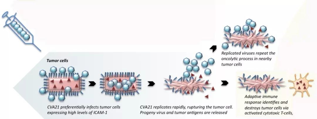 日本抗癌特效药问世,澳洲神药问世