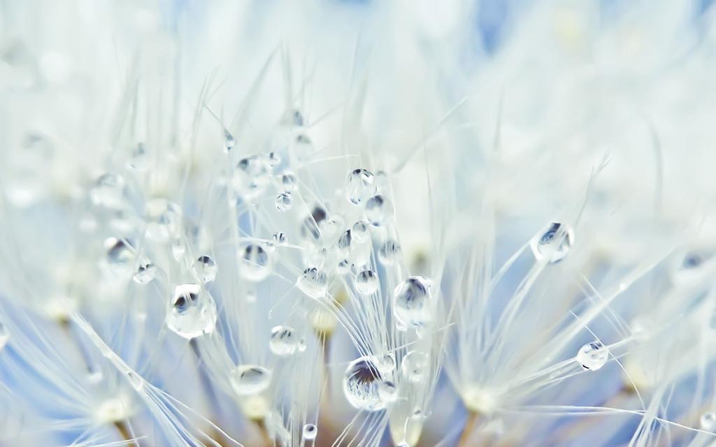 不管未来如何珍惜当下的美好文案,拥有现在珍惜未来