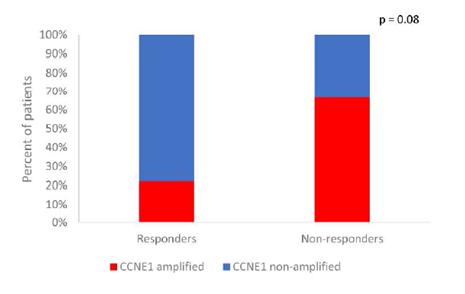 拉帕替尼可以治疗什么,拉帕替尼临床研究
