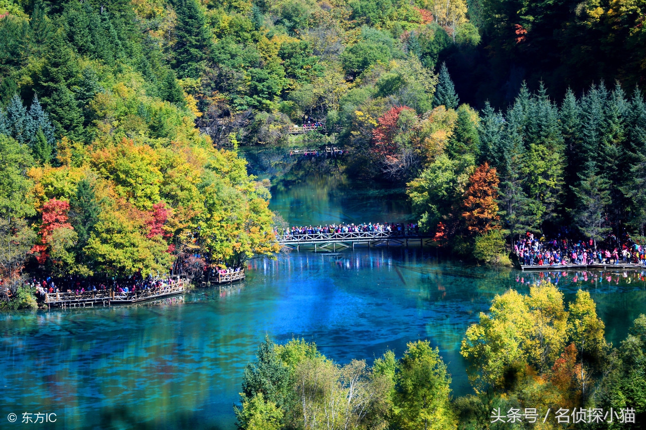 春暖花开带孩子适合去哪里旅游,春暖花开想和你一起出去走走