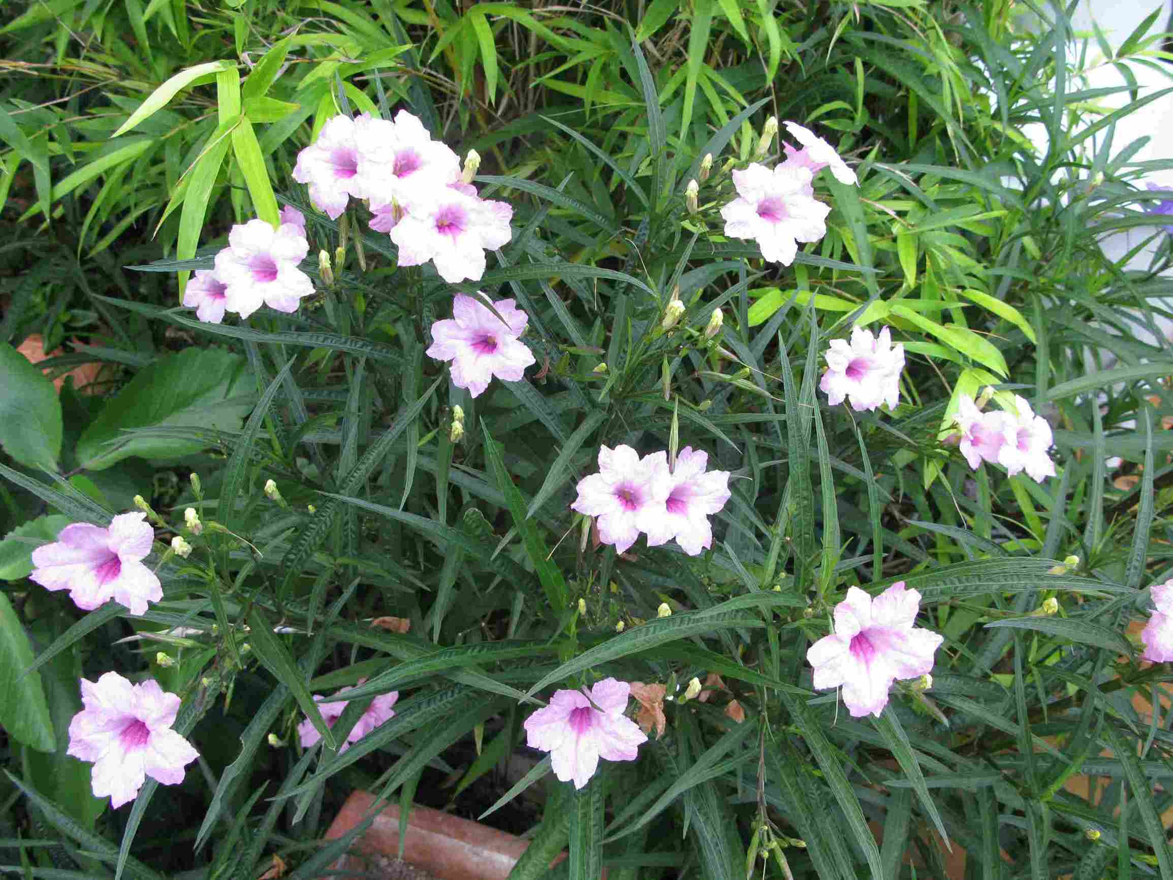 爱自然主题活动,爱自然爱生活视频