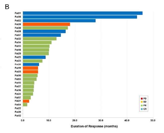拉帕替尼可以治疗什么,拉帕替尼临床研究