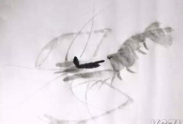 水墨大虾怎么画,水墨彩色大虾画