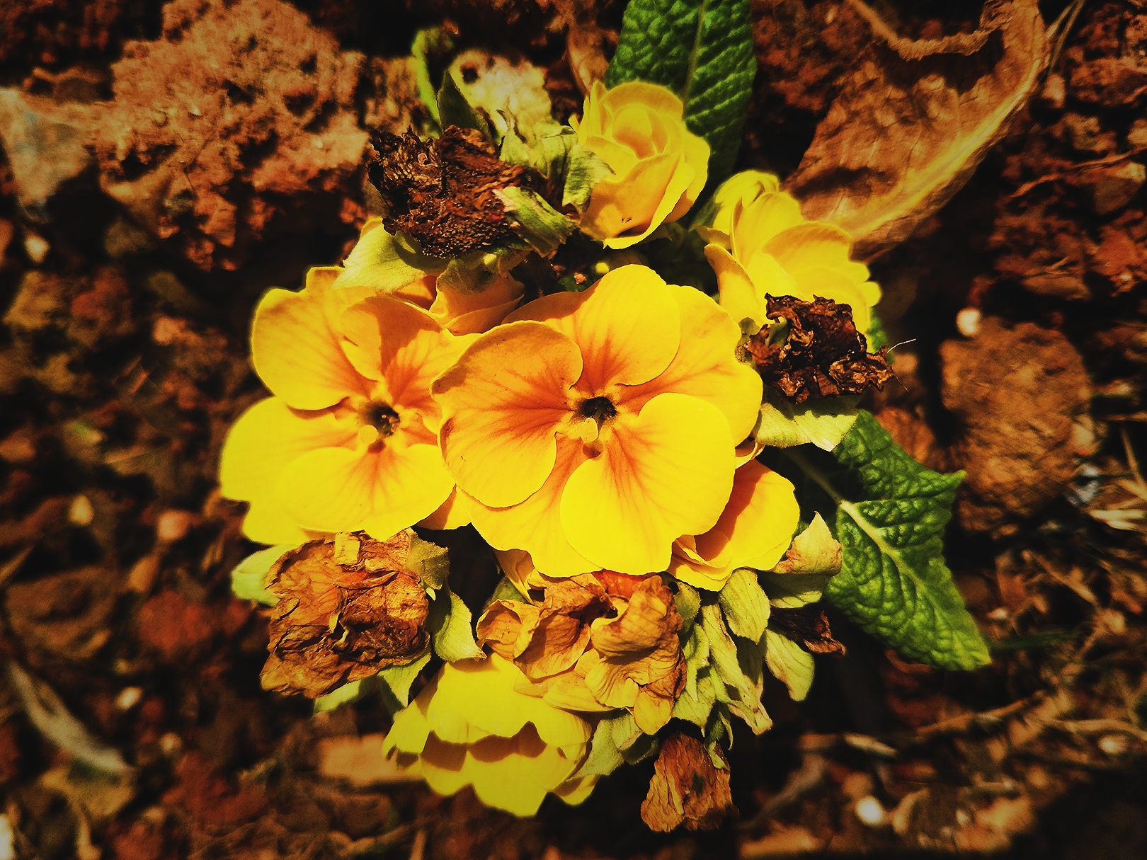 最幸福的事是做你的孩子,最幸福的事就是做你的孩子