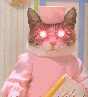 十大最好气垫bb推荐混合皮,十款气垫bb