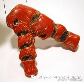 红珊瑚介绍方法,红珊瑚识别方法