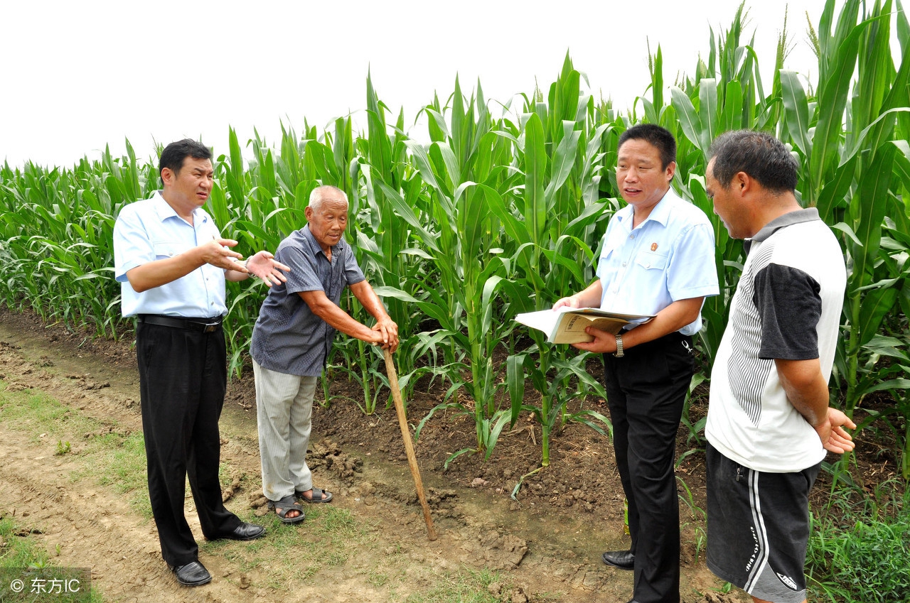 承包地纠纷处理原则,承包地有纠纷怎么处理