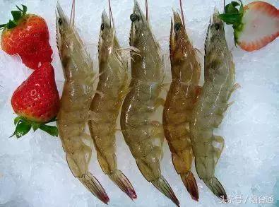 胶东四季的时令海鲜表,老渔民告诉你应季海鲜