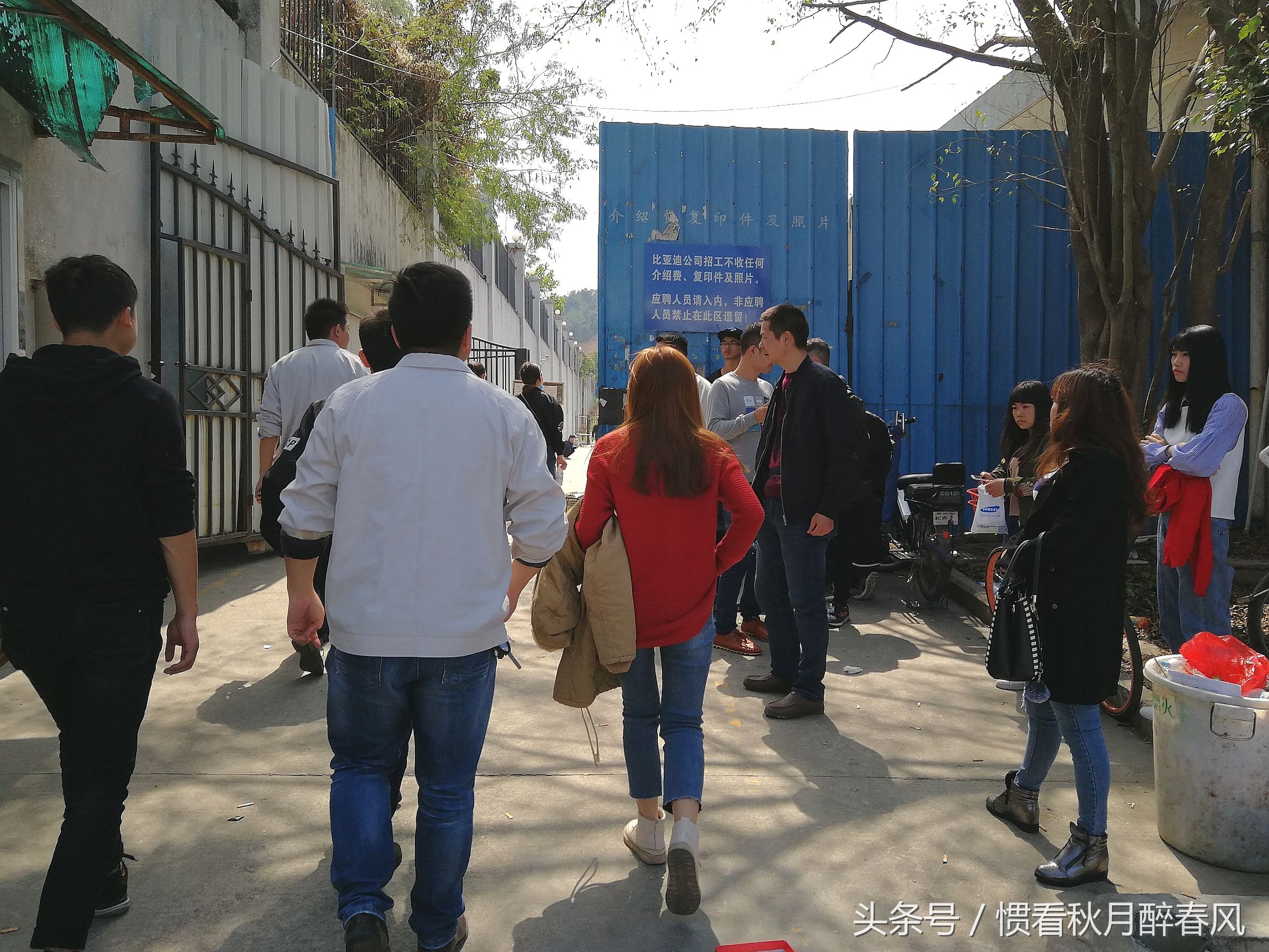 宝龙比亚迪招聘直招,宝龙比亚迪最新招工信息