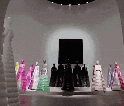 抱着狗狗走秀,抱着狗狗模特走秀视频