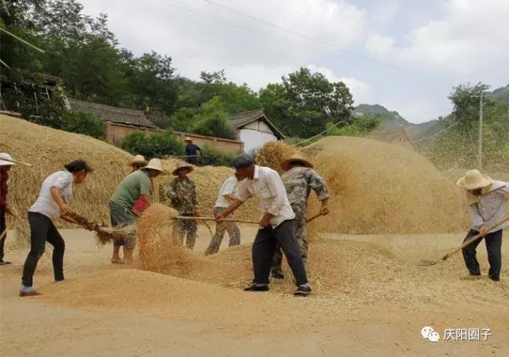 为什么甘肃人把“爸”叫“大”，尤其庆阳人！
