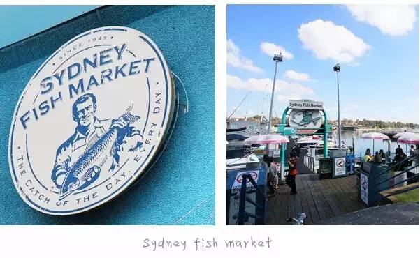 澳洲签证体检后多久签证可以获批,澳洲820签证转801签证需要多久