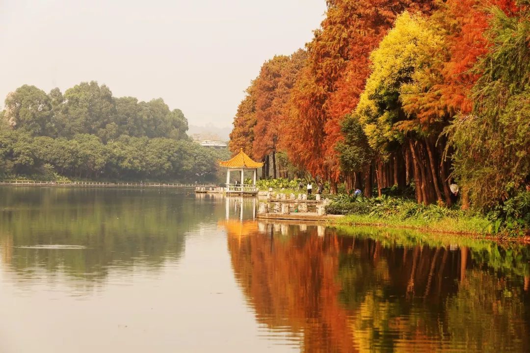 深圳春游十大好去处要门票,深圳春游亲子最佳去处