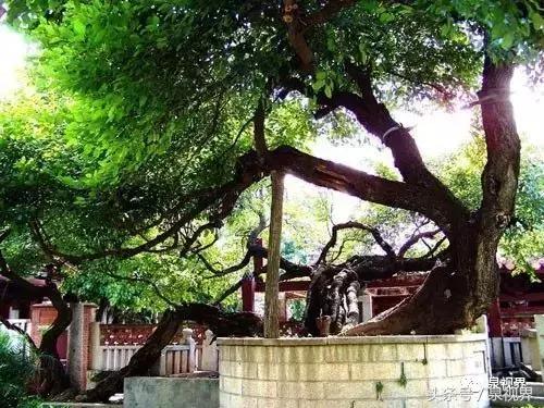 泉州未来五年的发展,2021年泉州迎来飞速发展