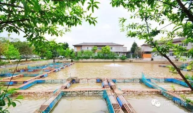 tvb最新美食,以前央视播出过的美食节目有哪些