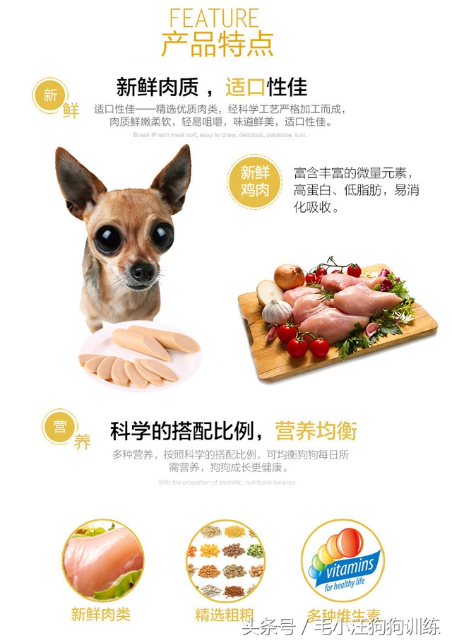 狗狗贪吃怎么训练,金毛狗狗挑食怎么办