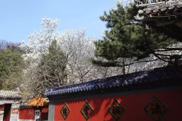 三月底去北京哪个公园比较好,几月去北京旅游最好攻略