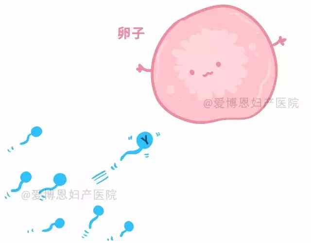 江门市妇幼保健院生孩子怎么样,江门月子中心和足月儿区别