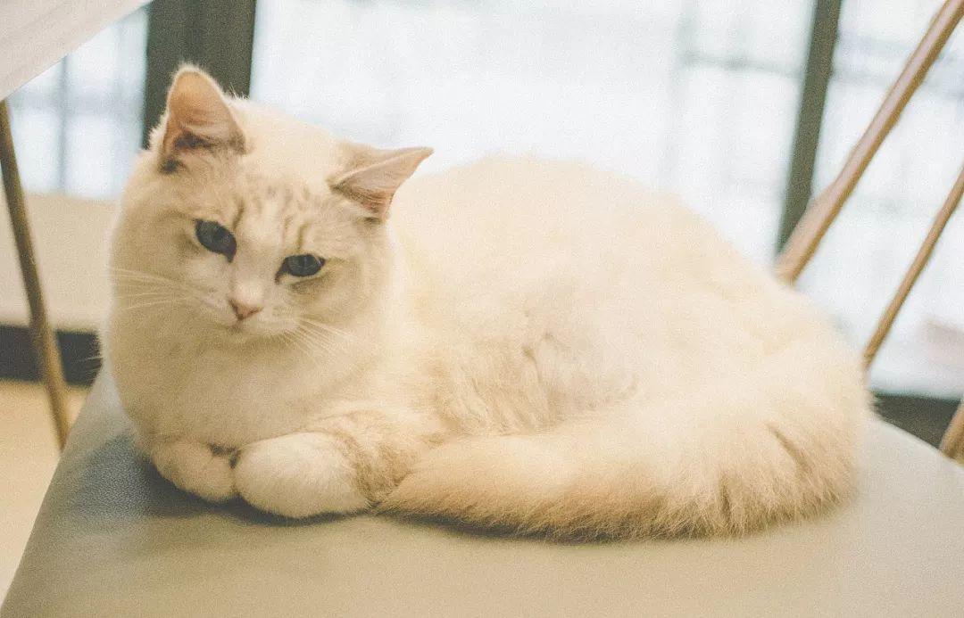 为啥抖音那么多博主都在卖广告,为什么许多博主卖号