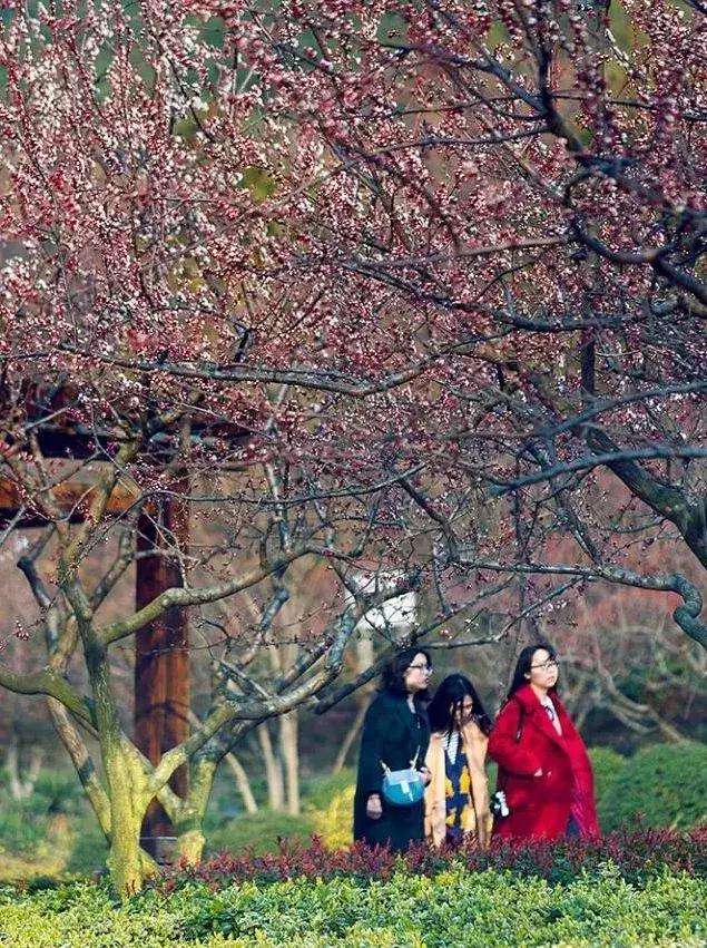 湖州这个季节去哪玩,湖州三月份适合去哪旅游