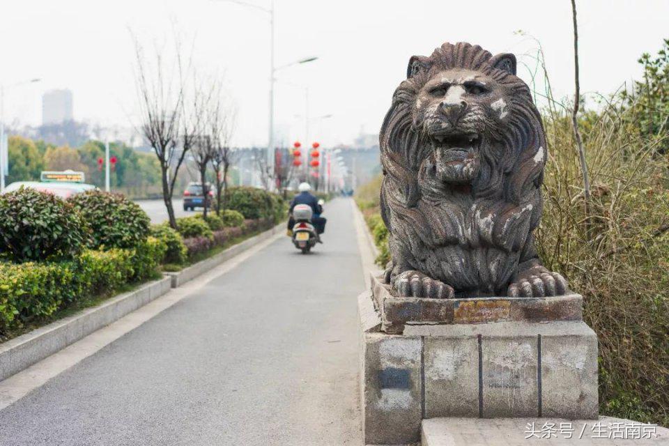 苜蓿园南京,南京苜蓿园佰人王店营业到几点