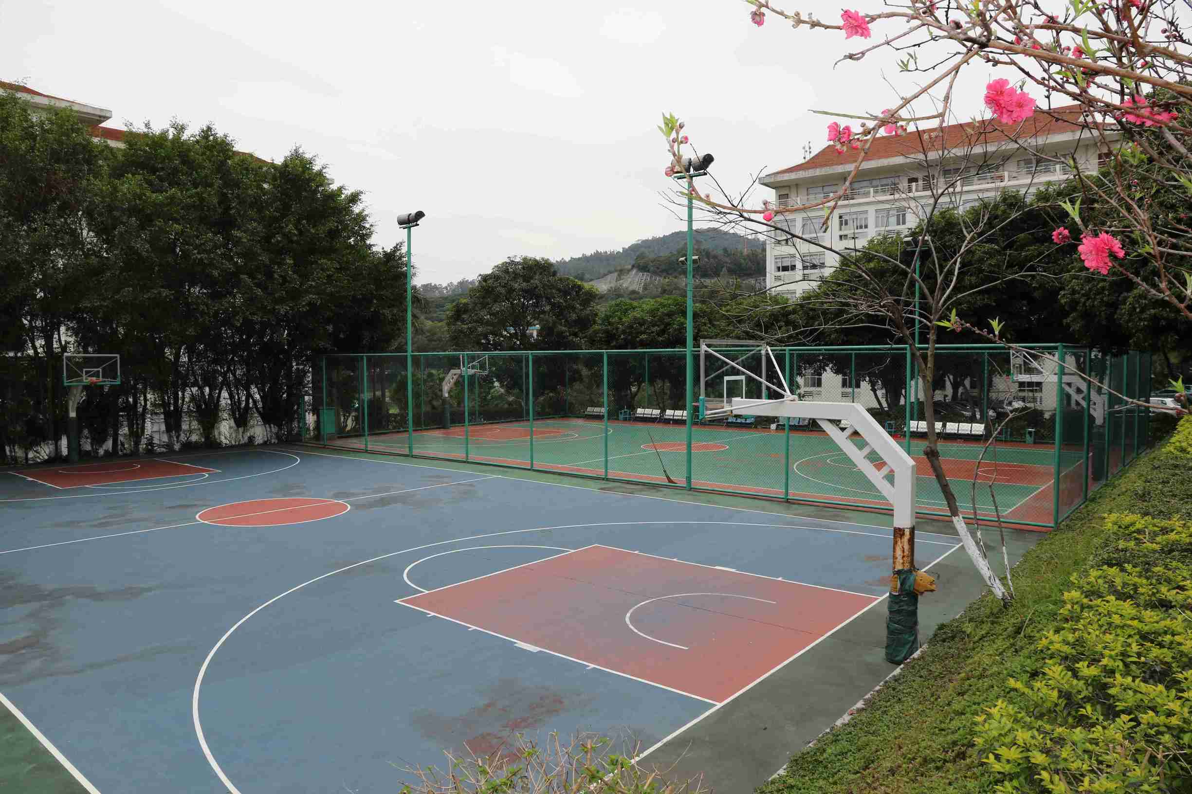 深圳赛亿科技有限公司环境,深圳市赛亿科技开发有限公司