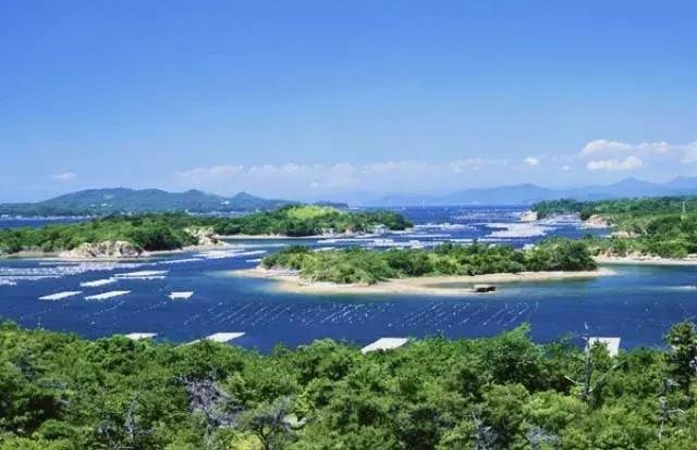 让人痴狂的伤感歌,让人痴狂诗句