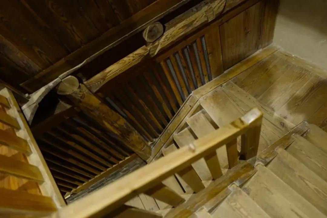 法国归来的插画师也难逃这片山林“诱惑”，夏天还想来看萤火虫