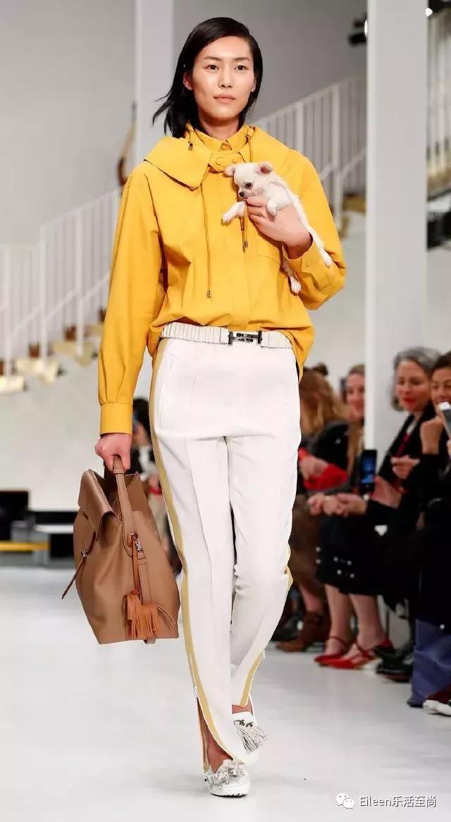 刘雯王俊凯照片 (王俊凯和刘雯)