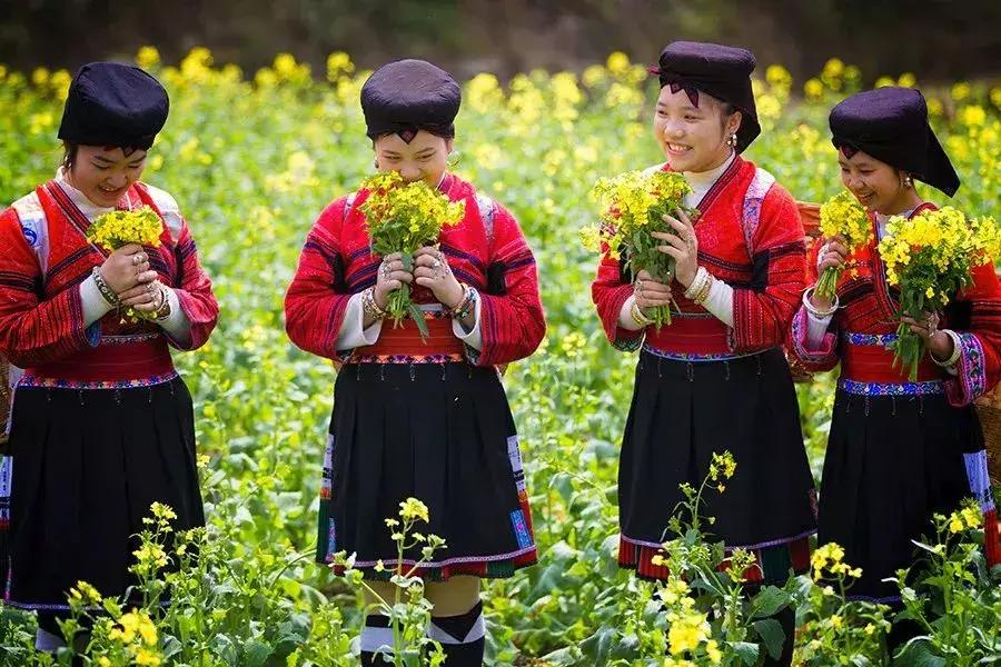 龙脊红瑶寨门票,桂林龙脊梯田门票优惠政策最新