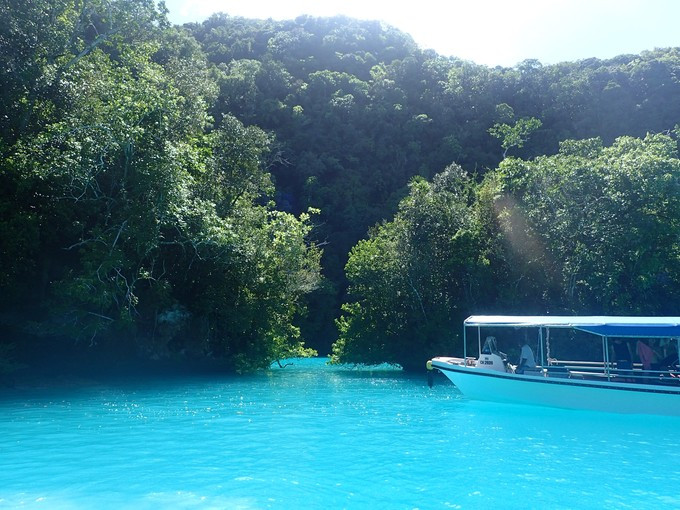 蜜月短途旅行,蜜月旅行遇见朋友闺蜜
