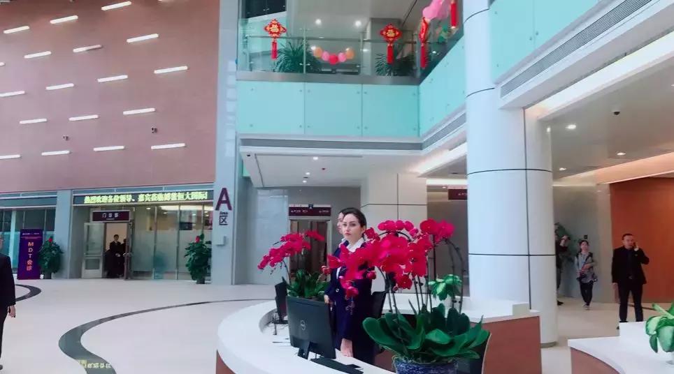 滚蛋吧，肿瘤君！恒大携“哈佛系”援军来了