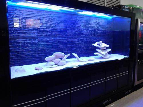 鱼缸打氧过滤器多久清洗一次,鱼缸过滤器的清洗方法