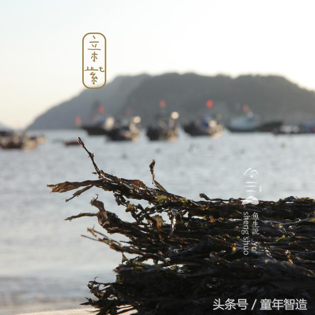 海洋被污染之后怎么补碘,海洋污染dha