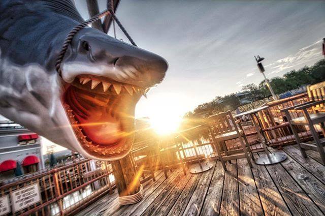 春天没能一起放风筝夏天一起看海,春天去不去旅游