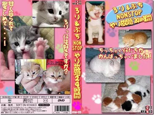 猫片大全及价格表,猫片是什么意思