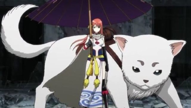 动漫中的那个可爱的狗,盘点狗狗的动画片