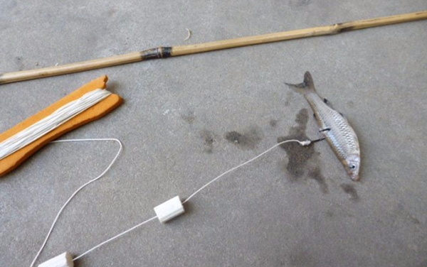 钓黑鱼什么时间钓最好,钓黑鱼绝密配方