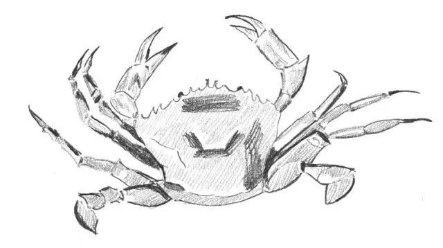 素描入门零基础教程动漫人物,素描入门零基础教程排线握笔