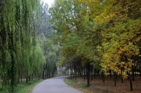 北京各区16处免费森林公园,北京最新40个公园