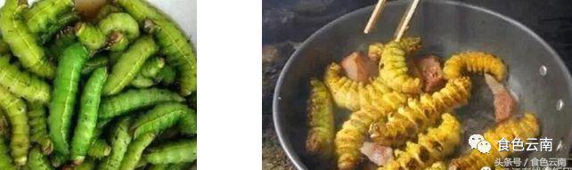 云南三只蚂蚁一道菜,云南三个蚊子一盘菜
